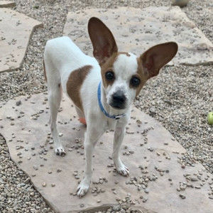 Meet your Posher, Pam